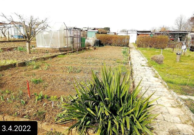 3.4.2022 .2022 !!! Gartenschau - Sonntagsbilder 2022 !!!   Temperaturen: Nachts 5,7 minus / 10:29 4,7° plus / 13:19 6,8° plus Die Temp­eraturen in Nebra steigen heute maximal auf 7 Grad Celsius.
In der Nacht wird mit -5°C die Tiefst­temperatur erreicht. Die Niederschlags­wahrscheinlichkeit beträgt 0% und die Niederschlags­mengen sind mit 0,0 l/m² berechnet. Zudem liegt die heutige Luft­feuchtigkeit bei 60%.
Sonnen­aufgang ist um 06:44 Uhr, Sonnen­untergang um 19:48 Uhr. | Foto: MW-FotoNebra