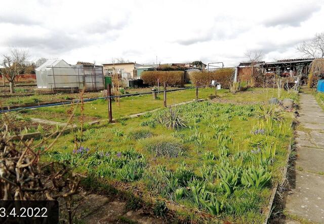 3.4.2022 .2022 !!! Gartenschau - Sonntagsbilder 2022 !!!   Temperaturen: Nachts 5,7 minus / 10:29 4,7° plus / 13:19 6,8° plus Die Temp­eraturen in Nebra steigen heute maximal auf 7 Grad Celsius.
In der Nacht wird mit -5°C die Tiefst­temperatur erreicht. Die Niederschlags­wahrscheinlichkeit beträgt 0% und die Niederschlags­mengen sind mit 0,0 l/m² berechnet. Zudem liegt die heutige Luft­feuchtigkeit bei 60%.
Sonnen­aufgang ist um 06:44 Uhr, Sonnen­untergang um 19:48 Uhr. Dazwischen lässt sich die Sonne nicht | Foto: MW-FotoNebra