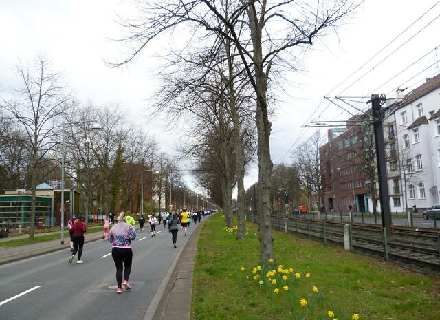 Die Hildesheimer Straße.