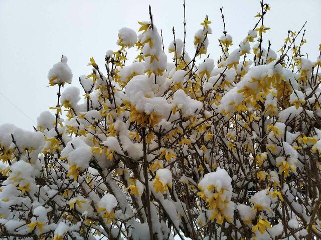 Zwei Tage vorher hat es noch geschneit. Die Athleten hatten Glück mit dem Wetter. Und die Stimmung war gut.