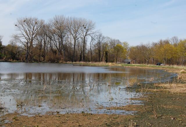 Ein See ist an der Redener Landstraße entstanden. Er soll in Zukunft ein Biotop für Amphibien, Insekten und Wasservögel werden.