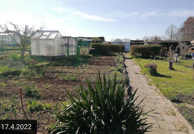 17.4.2022 .2022 !!! Gartenschau - Sonntagsbilder 2022 !!!  Temperaturen: Nachts 1,7 minus / 10:31 8,7° plus / 13:54 10,8° plus  ]Die Temp­eraturen in Nebra steigen heute maximal auf 14 Grad Celsius.
In der Nacht wird mit 2°C die Tiefst­temperatur erreicht. Die Niederschlags­wahrscheinlichkeit beträgt 0% und die Niederschlags­mengen sind mit 0,0 l/m² berechnet.
Zudem liegt die heutige Luft­feuchtigkeit bei 62%. Sonnen­aufgang ist um 06:12 Uhr, Sonnen­untergang um 20:13 Uhr.
Dazwischen lässt sich die Sonne ni