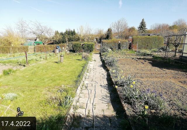 17.4.2022 .2022 !!! Gartenschau - Sonntagsbilder 2022 !!!  Temperaturen: Nachts 1,7 minus / 10:31 8,7° plus / 13:54 10,8° plus  ]Die Temp­eraturen in Nebra steigen heute maximal auf 14 Grad Celsius.
In der Nacht wird mit 2°C die Tiefst­temperatur erreicht. Die Niederschlags­wahrscheinlichkeit beträgt 0% und die Niederschlags­mengen sind mit 0,0 l/m² berechnet.
Zudem liegt die heutige Luft­feuchtigkeit bei 62%. Sonnen­aufgang ist um 06:12 Uhr, Sonnen­untergang um 20:13 Uhr.
Dazwischen lässt sich die Sonne ni