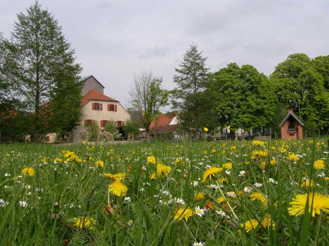 Die Mühlenwiese