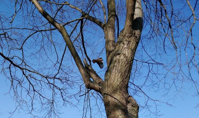 Mal im Flug erwischt.