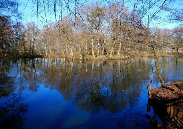Am Stadtparkteich