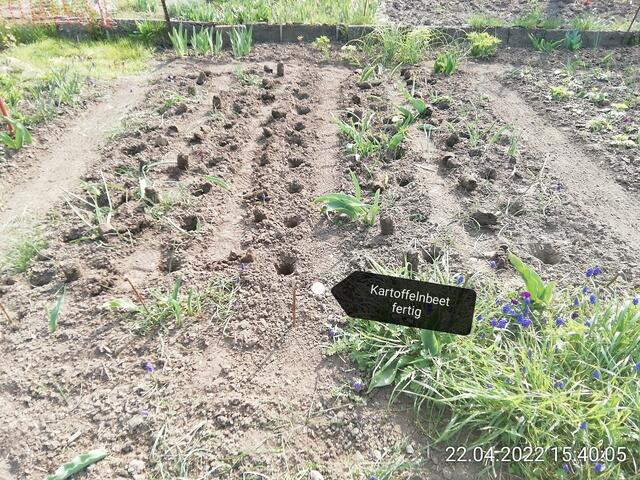 Kartoffeln 2 - 24.4.2022 .2022 !!! Gartenschau - Sonntagsbilder 2022 !!! Temperaturen: Nachts 7,7 / 10:39 9,7° plus / 13:54 12,8° plus
Das Unkraut wächst und es gab viel Sonne und trübes Wetter in dieser Woche, in der Sonne waren es dann gestern 17,6 Grad, heute ist es fast Windstill !
Die Temp­eraturen in Nebra steigen heute maximal auf 17 Grad Celsius.
In dieser Woche Kartoffeln gesteckt,Rüben ,Radieschen und Möhren gesät !
Die Temp­eraturen in Nebra steigen heute maximal auf 17 Grad Celsius.