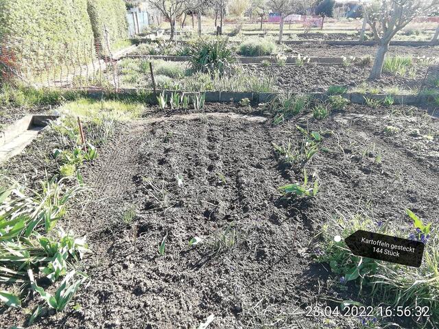 24.4.2022 .2022 !!! Gartenschau - Sonntagsbilder 2022 !!! Temperaturen: Nachts 7,7 / 10:39 9,7° plus / 13:54 12,8° plus
Das Unkraut wächst und es gab viel Sonne und trübes Wetter in dieser Woche, in der Sonne waren es dann gestern 17,6 Grad, heute ist es fast Windstill !
Die Temp­eraturen in Nebra steigen heute maximal auf 17 Grad Celsius.
In dieser Woche Kartoffeln gesteckt,Rüben ,Radieschen und Möhren gesät !
Die Temp­eraturen in Nebra steigen heute maximal auf 17 Grad Celsius.