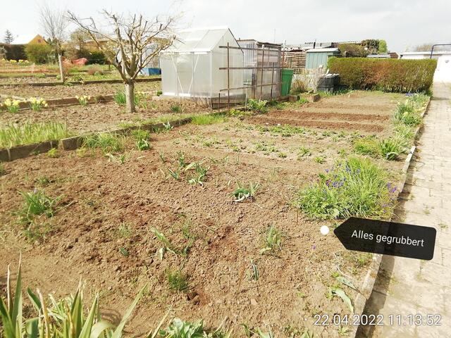 24.4.2022 .2022 !!! Gartenschau - Sonntagsbilder 2022 !!! Temperaturen: Nachts 7,7 / 10:39 9,7° plus / 13:54 12,8° plus
Das Unkraut wächst und es gab viel Sonne und trübes Wetter in dieser Woche, in der Sonne waren es dann gestern 17,6 Grad, heute ist es fast Windstill !
Die Temp­eraturen in Nebra steigen heute maximal auf 17 Grad Celsius.
In dieser Woche Kartoffeln gesteckt,Rüben ,Radieschen und Möhren gesät !
Die Temp­eraturen in Nebra steigen heute maximal auf 17 Grad Celsius.