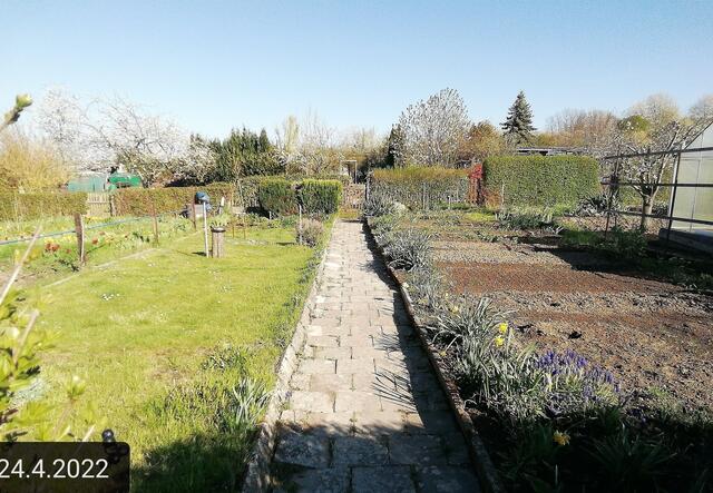 Gartenschau 1 - 24.4.2022 .2022 !!! Gartenschau - Sonntagsbilder 2022 !!! Temperaturen: Nachts 7,7 / 10:39 9,7° plus / 13:54 12,8° plus
Das Unkraut wächst und es gab viel Sonne und trübes Wetter in dieser Woche, in der Sonne waren es dann gestern 17,6 Grad, heute ist es fast Windstill !
Die Temp­eraturen in Nebra steigen heute maximal auf 17 Grad Celsius.
In dieser Woche Kartoffeln gesteckt,Rüben ,Radieschen und Möhren gesät !
Die Temp­eraturen in Nebra steigen heute maximal auf 17 Grad Celsius.