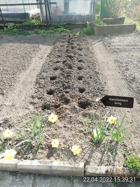 Kartoffeln 4 - 24.4.2022 .2022 !!! Gartenschau - Sonntagsbilder 2022 !!! Temperaturen: Nachts 7,7 / 10:39 9,7° plus / 13:54 12,8° plus
Das Unkraut wächst und es gab viel Sonne und trübes Wetter in dieser Woche, in der Sonne waren es dann gestern 17,6 Grad, heute ist es fast Windstill !
Die Temp­eraturen in Nebra steigen heute maximal auf 17 Grad Celsius.
In dieser Woche Kartoffeln gesteckt,Rüben ,Radieschen und Möhren gesät !
Die Temp­eraturen in Nebra steigen heute maximal auf 17 Grad Celsius.