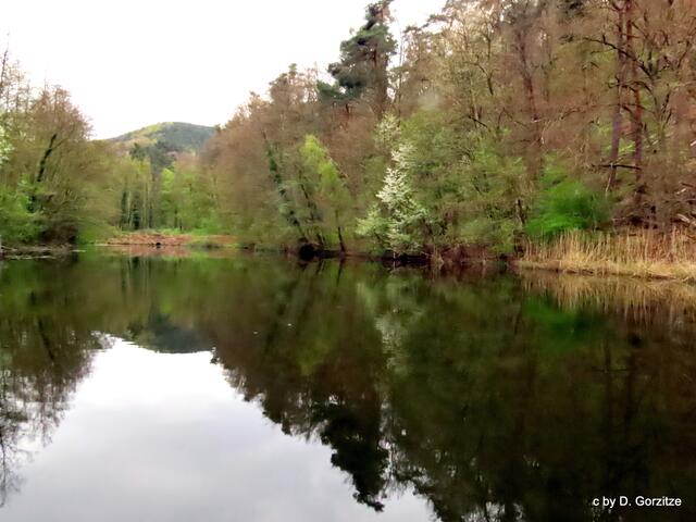Schlangenweiher