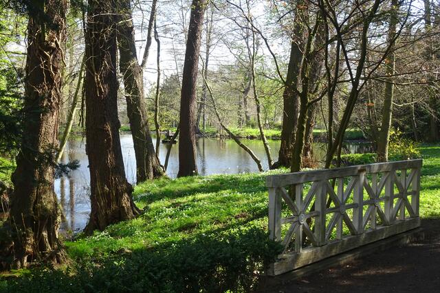 ein Teich im Schlosspark