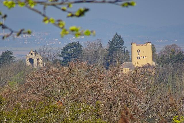 Blick vom Schloss auf die Roseburg bei Rieder