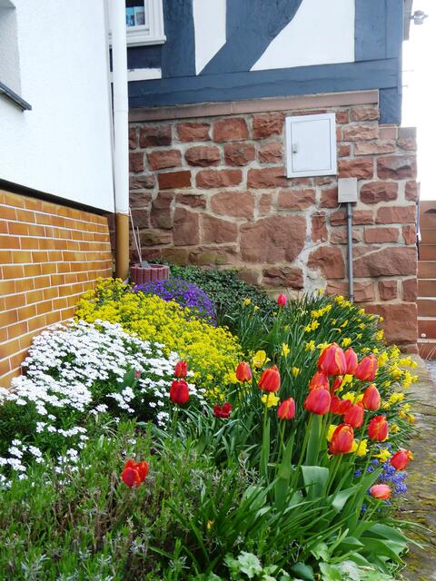 Ein Blumenbeet am Alten Rathaus bringt frühlingshaft Farben.