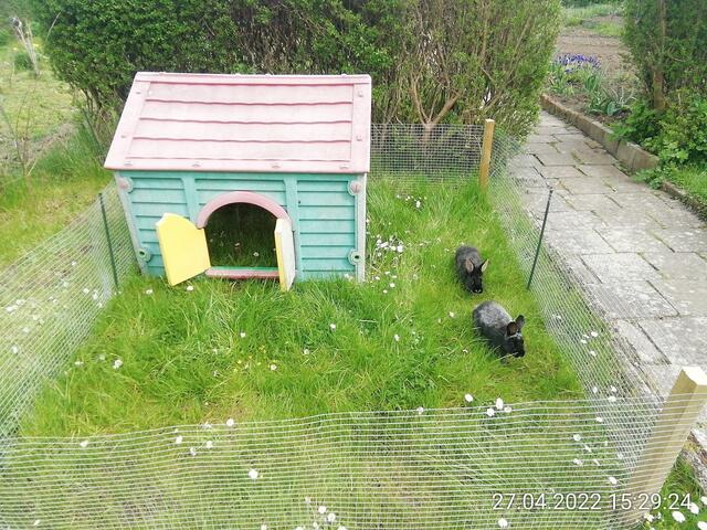 1.5.2022 .2022 !!! Gartenschau - Sonntagsbilder 2022 !!!   ]Temperaturen: Nachts 10.1 / 10:39 12,7° plus / 13:54 18,8° plus