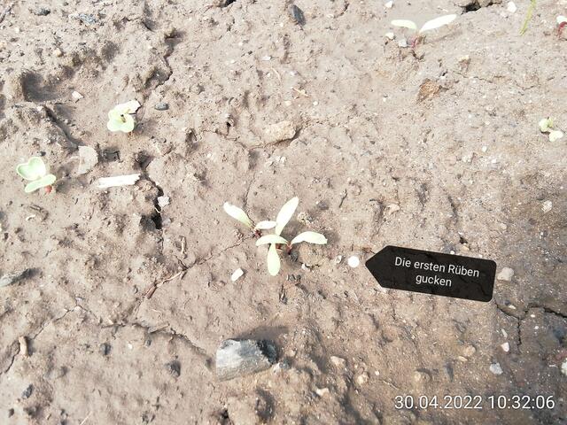 1.5.2022 .2022 !!! Gartenschau - Sonntagsbilder 2022 !!!   ]Temperaturen: Nachts 10.1 / 10:39 12,7° plus / 13:54 18,8° plus