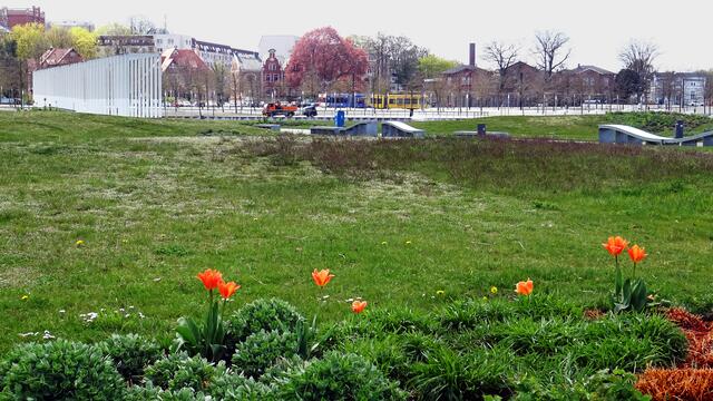 Auf der „Schwimmenden Wiese‟ mit der Blickachse zum Bertha-Klingbert-Platz. Foto: Helmut Kuzina