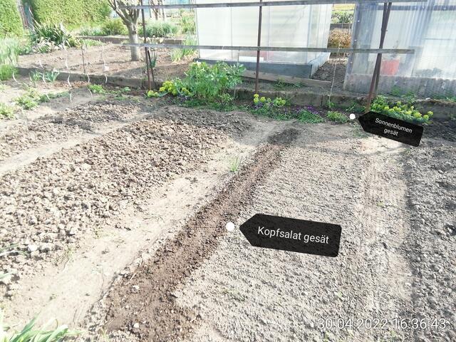 1.5.2022 .2022 !!! Gartenschau - Sonntagsbilder 2022 !!!   ]Temperaturen: Nachts 10.1 / 10:39 12,7° plus / 13:54 18,8° plus