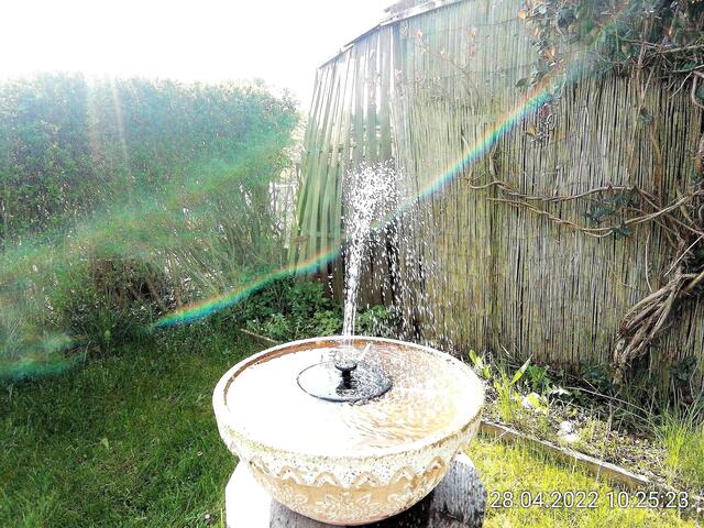 1.5.2022 .2022 !!! Gartenschau - Sonntagsbilder 2022 !!!   ]Temperaturen: Nachts 10.1 / 10:39 12,7° plus / 13:54 18,8° plus