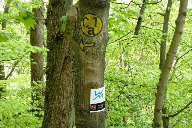 Wandermärchen Burgwald-Ederbergland (WM): Premium -Stadtwanderweg "Marburger Ausblicke".