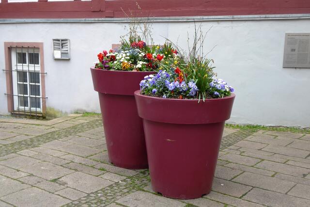 Große dekorative Blumentöpfe bringen Farbe in die Stadt, wie hier am Willy-Sage-Platz.