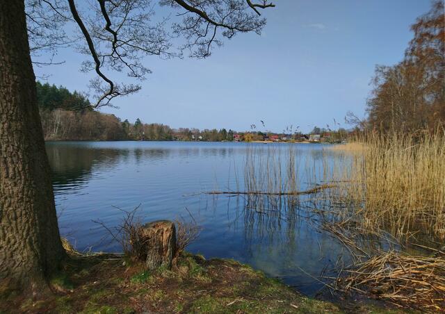 Am Salemer See