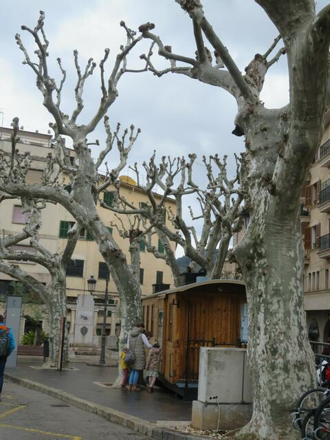 Hier fährt der nostalgische Zug in Richtung Porta Soller.
