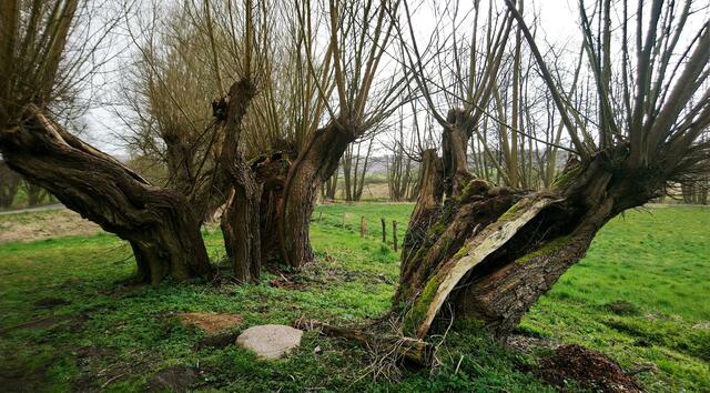 Im Pirschbachtal bei Mölln