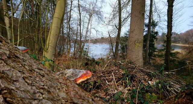 Salemer See