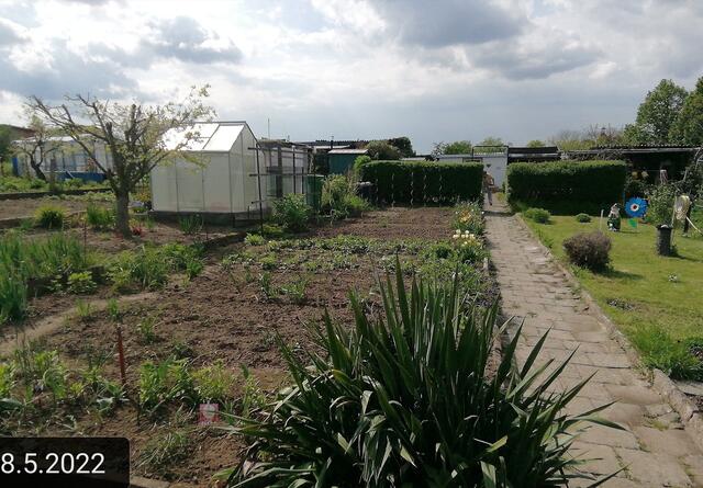 8.5.2022 .2022 !!! Gartenschau - Sonntagsbilder mit O'Brian 2022 !!!  Die Temp­eraturen in Nebra steigen heute maximal auf 19 Grad Celsius. In der Nacht wird mit 7°C die Tiefst­temperatur erreicht. Die Niederschlags­wahrscheinlichkeit beträgt 0% und die Niederschlags­mengen sind mit 0,0 l/m² berechnet.
Zudem liegt die heutige Luft­feuchtigkeit bei 60%. Sonnen­aufgang ist um 05:44 Uhr, Sonnen­untergang um 20:36 Uhr. Dazwischen lässt sich die Sonne nicht sehen. Der Wind weht mit 9 km/h aus Nord-Ost. | Foto: MW-FotoNebra