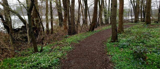 Rundweg Behlendorfer See