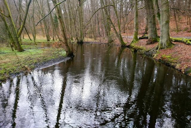 Der Hellbach im Regen