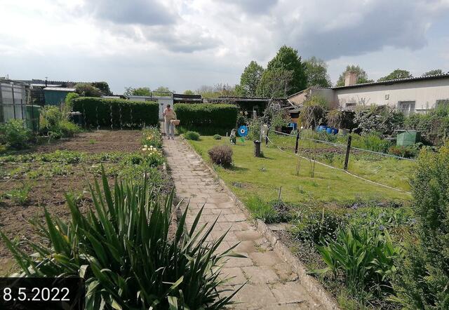 8.5.2022 .2022 !!! Gartenschau - Sonntagsbilder mit O'Brian 2022 !!!  Die Temp­eraturen in Nebra steigen heute maximal auf 19 Grad Celsius. In der Nacht wird mit 7°C die Tiefst­temperatur erreicht. Die Niederschlags­wahrscheinlichkeit beträgt 0% und die Niederschlags­mengen sind mit 0,0 l/m² berechnet.
Zudem liegt die heutige Luft­feuchtigkeit bei 60%. Sonnen­aufgang ist um 05:44 Uhr, Sonnen­untergang um 20:36 Uhr. Dazwischen lässt sich die Sonne nicht sehen. Der Wind weht mit 9 km/h aus Nord-Ost. | Foto: MW-FotoNebra