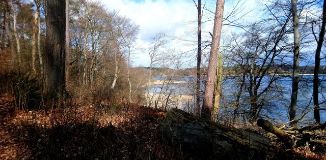 Rundweg im Seedorfer Werder am Schaalsee