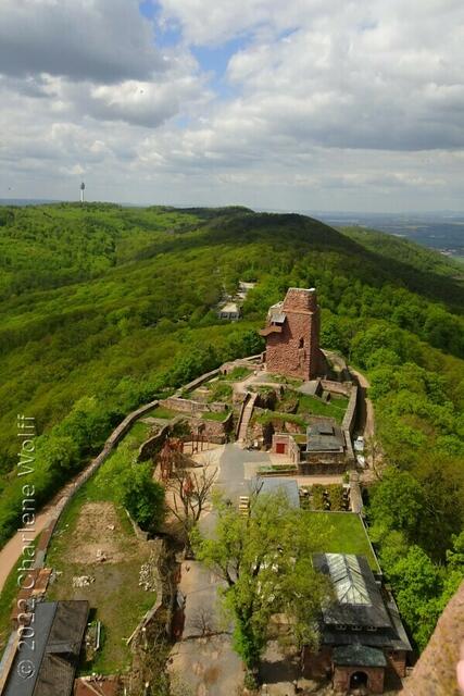 Die Reste von Barbarossas Burg