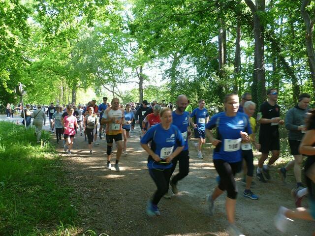 Starterfeld der Teilnehmer „Fünf Kilometer“.