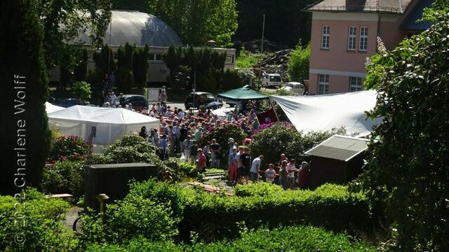 Viele Besucher sind gekommen