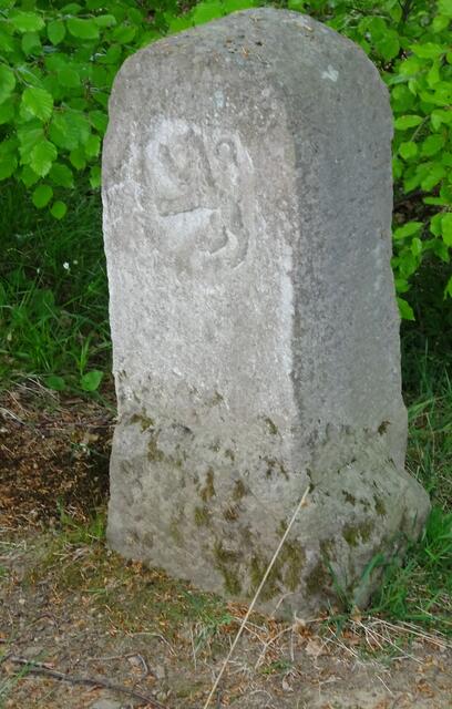Grenzstein am Dreiherrenstein