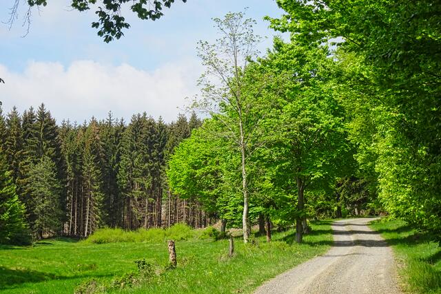im Klippenwassertal