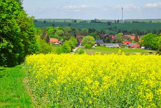 am Wanderweg Breitenstein - Stolberg (Blick auf Breitenstein)