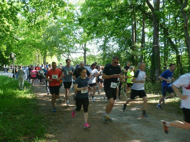 Starterfeld der Teilnehmer „Fünf Kilometer“.