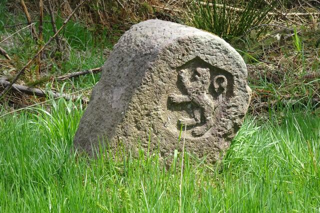 der Löwe ist das Wappentier von der Landgrafschaft Thüringen (Kursachsen)