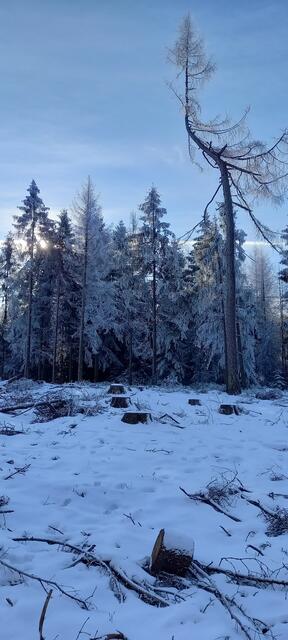 Deister Winter 2020 auf dem Kleinen Brink | Foto: Labyrinth Wennigsen