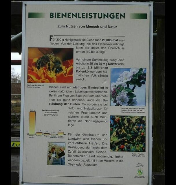 Bitte vergrößern ! Diese Schautafeln befinden sich im Wittenberger Naturgarten Vergissmeinnicht.