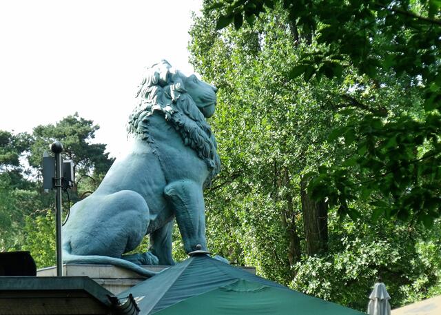 Der Löwe stand früher im erhöht liegenden Bergpark ganz in der Nähe (auch „Schweiz“ genannt). Daran erinnert noch der Name der "Straße zum Löwen".