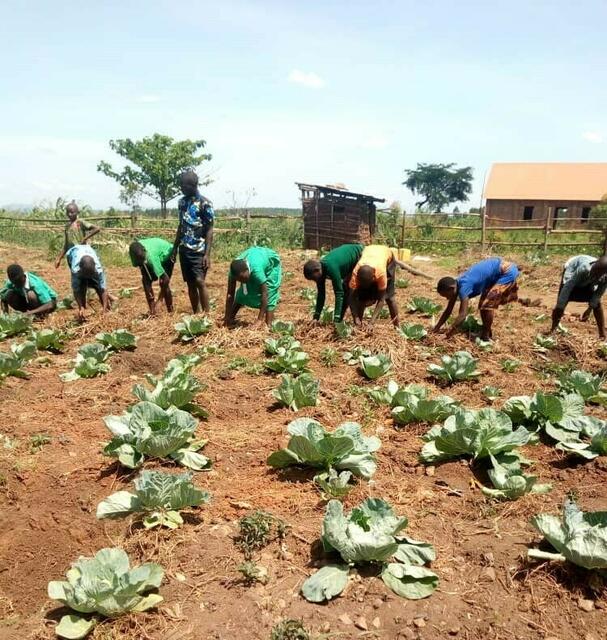 Die Schulkinder sind fleißig beim Bewirtschaften "ihres" Gartens. | Foto: LandsAid