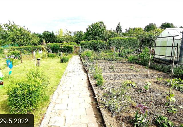 29.5.2022  !!! Gartenschau - Sonntagsbilder 2022 !!!  Temperaturen: Nachts 5,7° / 13:29 12,7° plus / 13:24 15,8° plus
Das Unkraut wächst und es gab viel Sonne und trübes Wetter in dieser Woche, in der Sonne waren es dann gestern 18,6 Grad, heute ist es stürmisch.