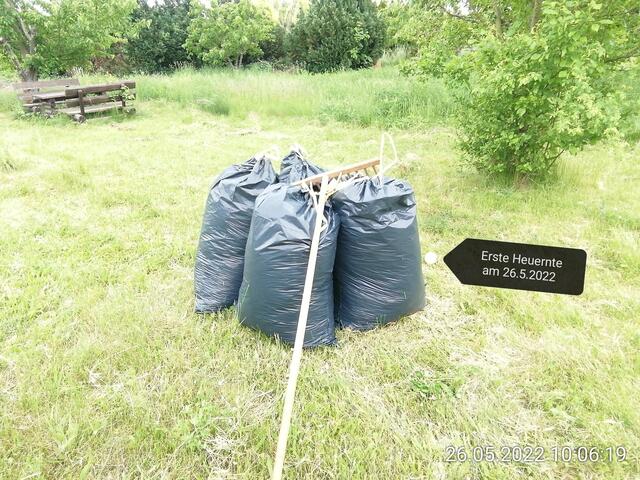 Eingesackt zum Transport -  29.5.2022  !!! Gartenschau - Sonntagsbilder 2022 !!!  Temperaturen: Nachts 8,1^° / 10:29 12,7° plus / 13:24 13,8° plus
Das Unkraut wächst und es gab viel Sonne und trübes Wetter in dieser Woche, in der Sonne waren es dann gestern 18,6 Grad, heute ist es stürmisch.