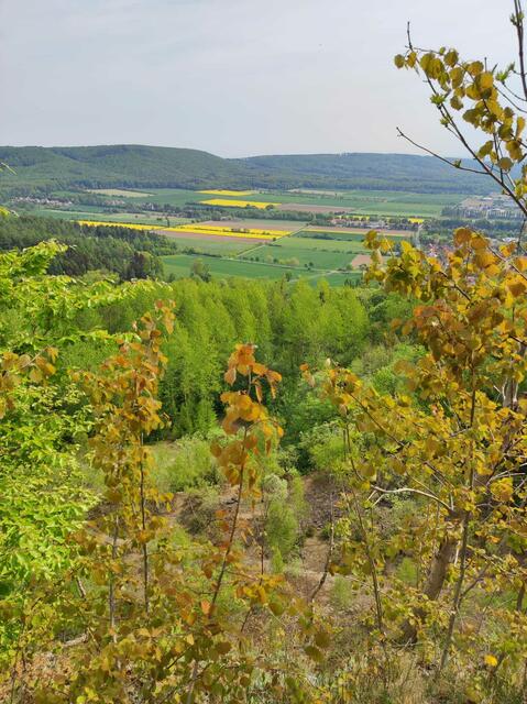 Blick von der Felsenkante